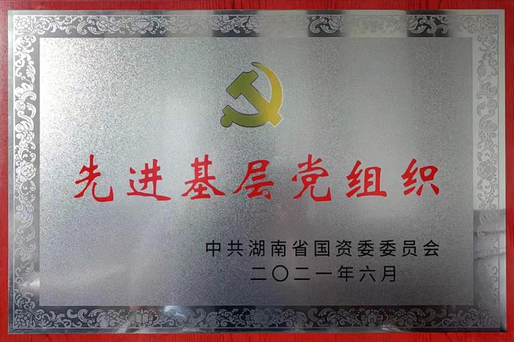 ayx·爱游戏重装党委先进基层党组织.jpg